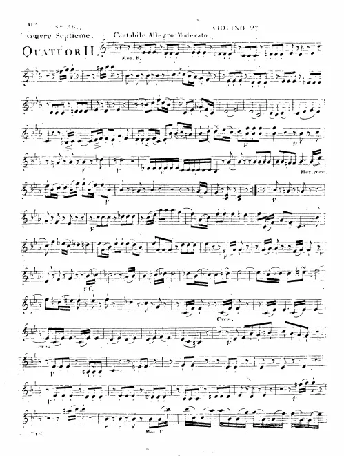 Violin 2