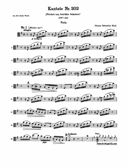 Violas