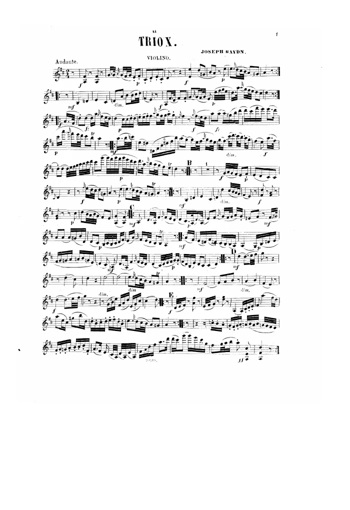 Violin