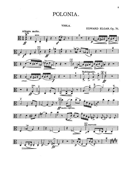 Violas
