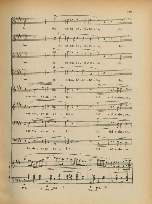 Segment 3