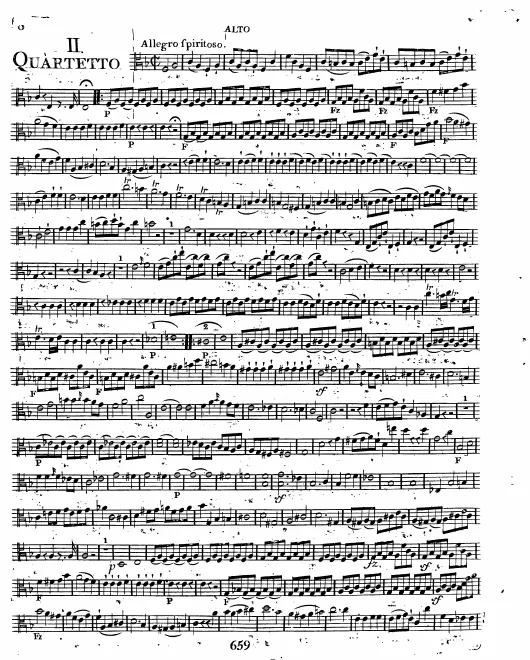 Viola