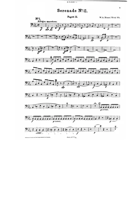 Bassoon 2