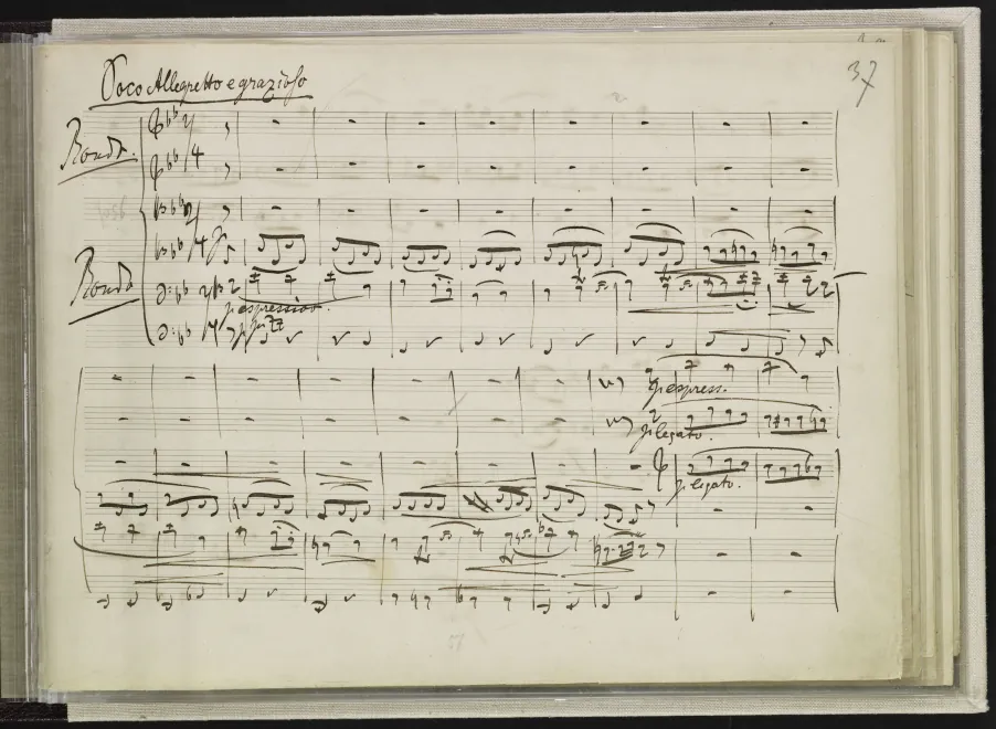 4. Rondo. Poco Allegretto e grazioso
