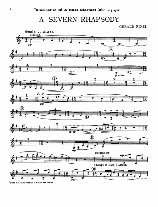 Clarinet/Bass Clarinet (B)