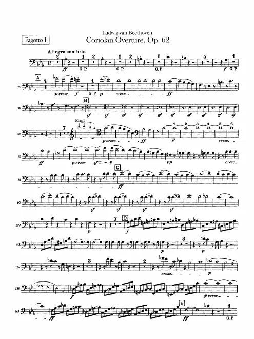 Bassoon 1/2