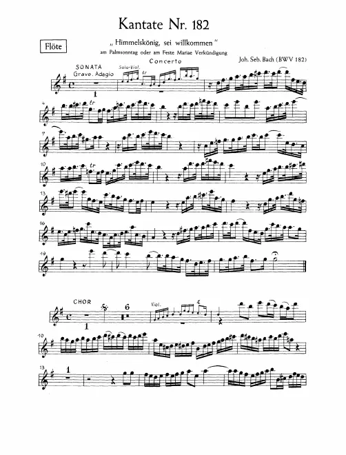 Flute (Recorder)