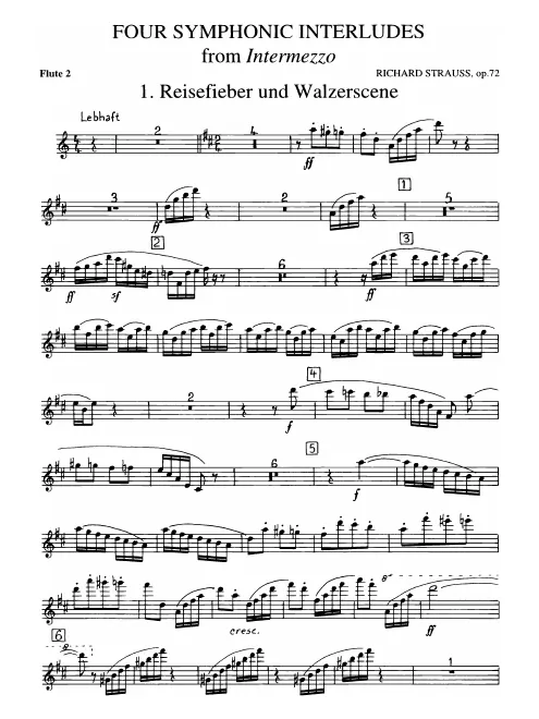 Flute 2