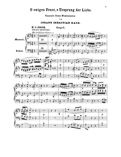 Organ