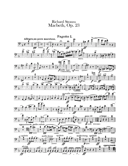 Bassoon 1