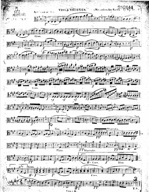 Viola 2