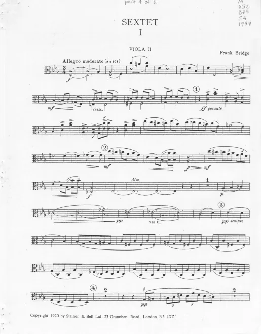 Viola II