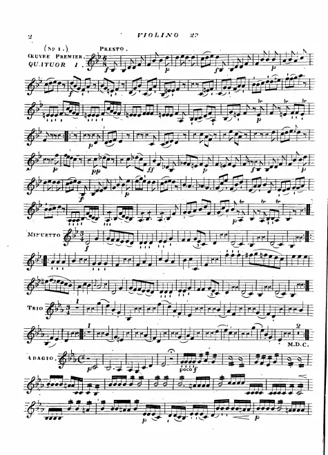 Violin 2