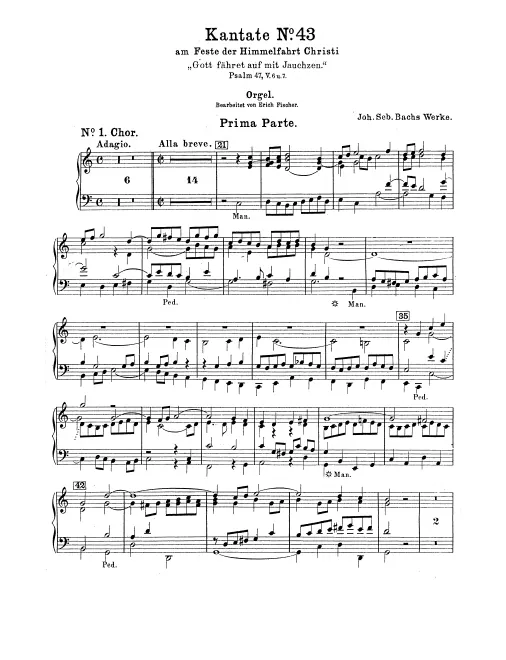 Organ
