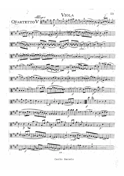 Viola
