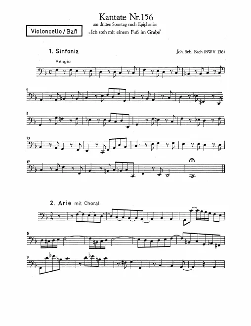 Cellos/Basses