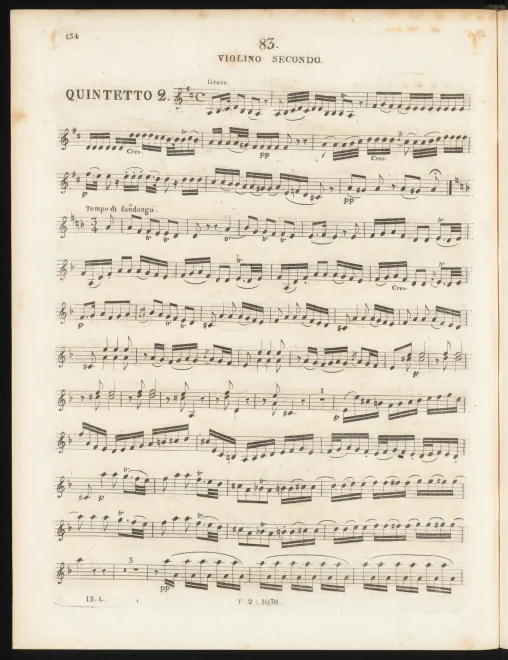 Violin 2