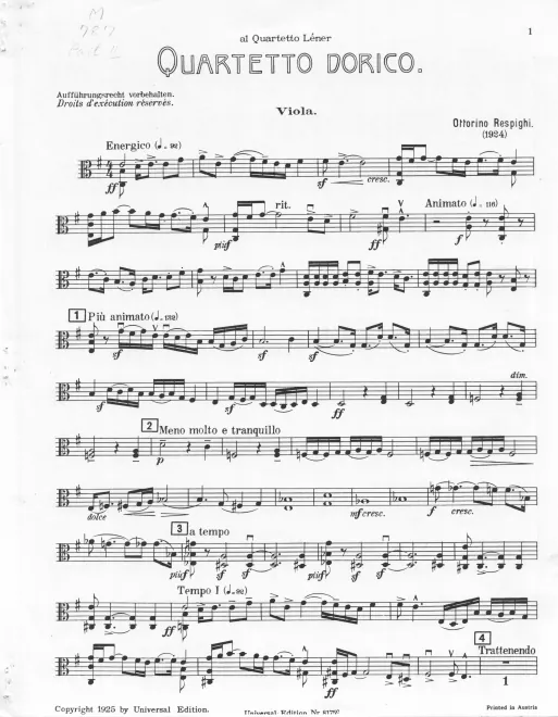 Viola