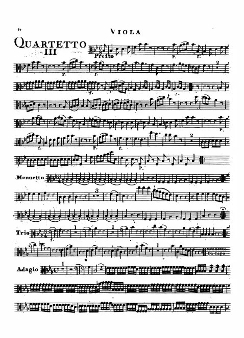 Viola
