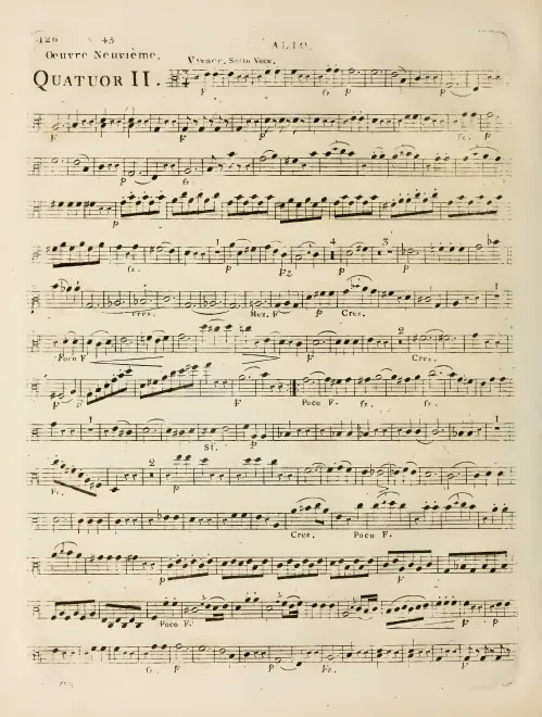 Viola