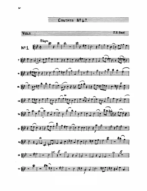 Violas
