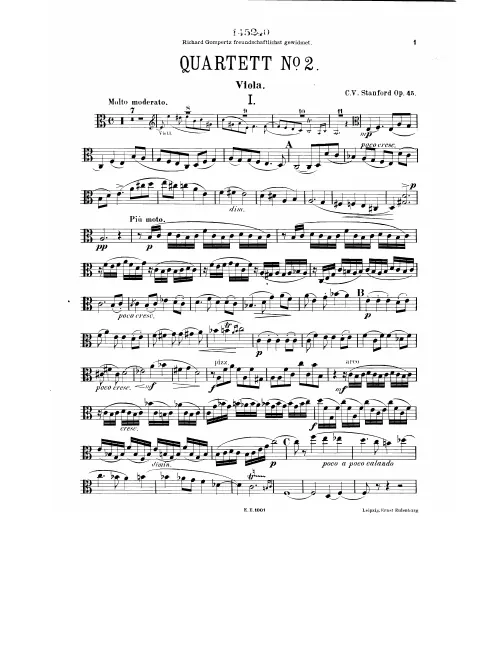 Viola