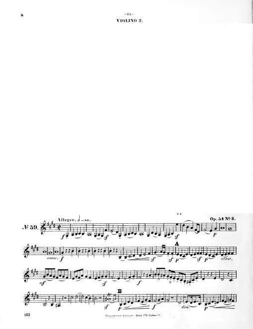Violin 2