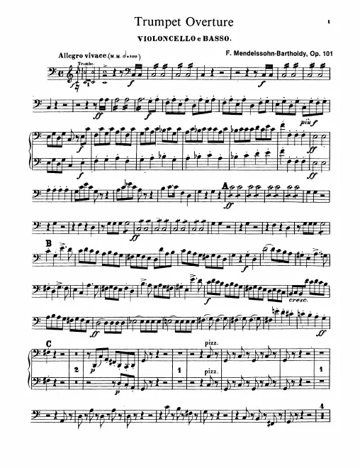 Cellos/Basses