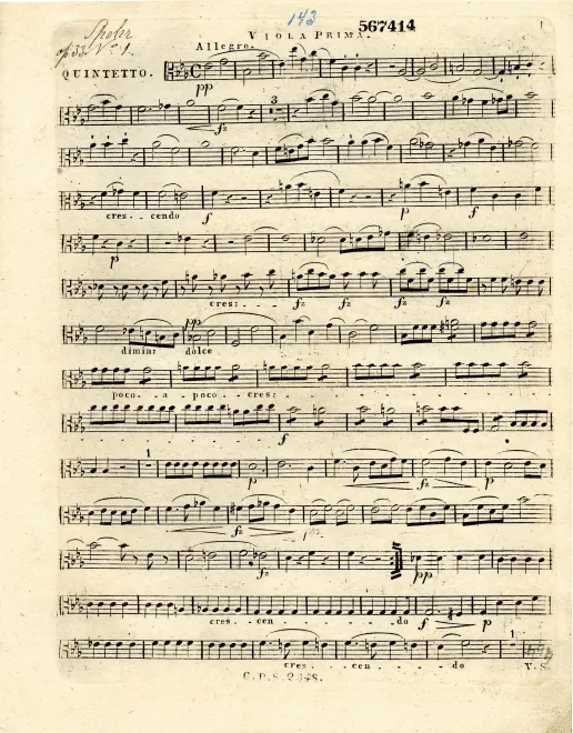Viola 1