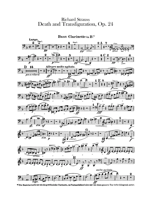 Bass Clarinet (B)