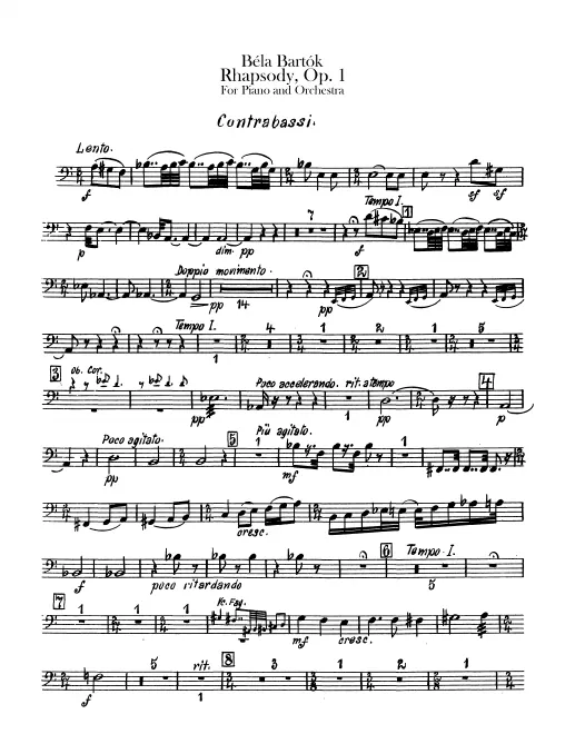 Basses