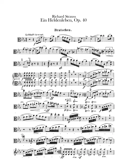 Violas