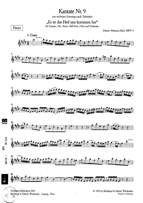Flute