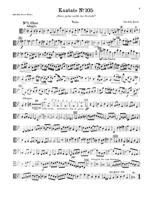 Violas