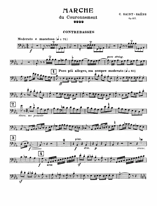 Basses
