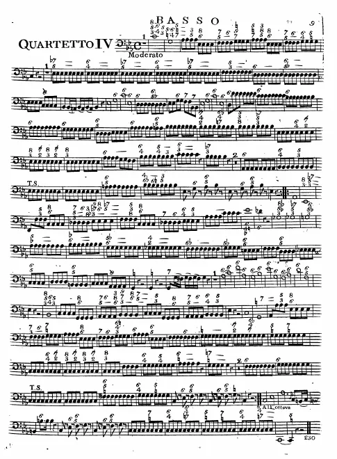 Cello