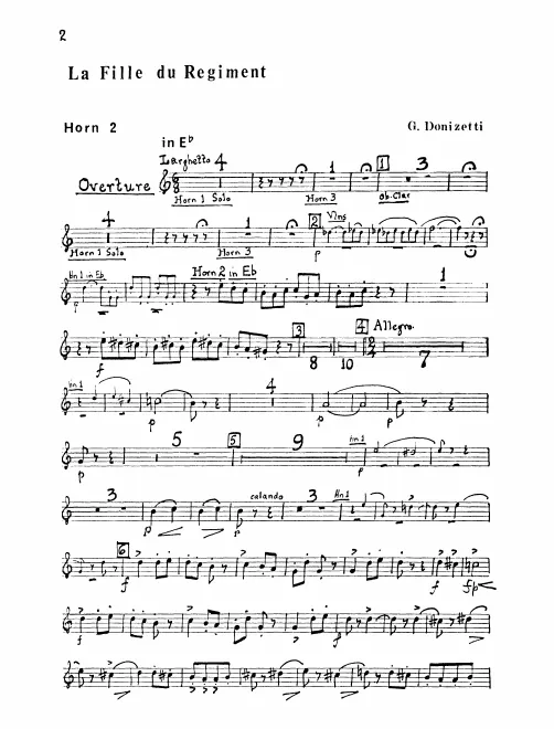 Horn 2