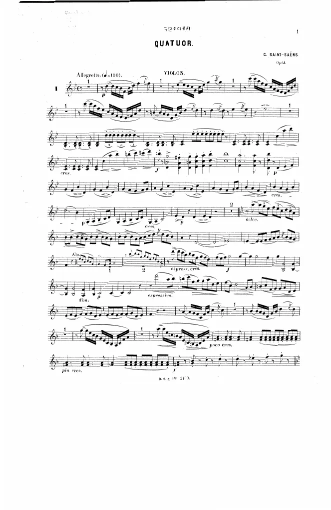Violin