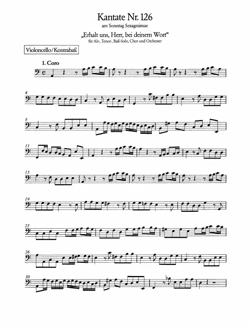 Cellos/Basses