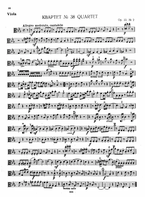 Viola