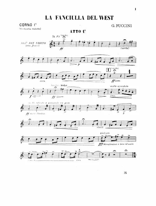 Horn 1