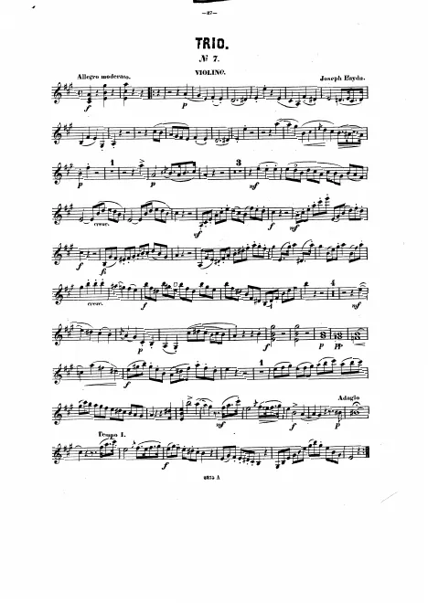 Violin