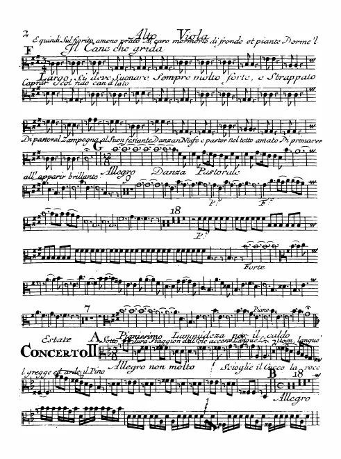 Violas