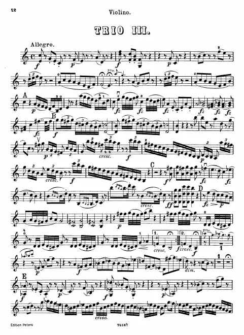 Violin