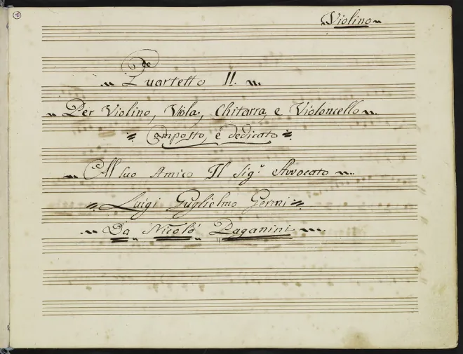 Violin