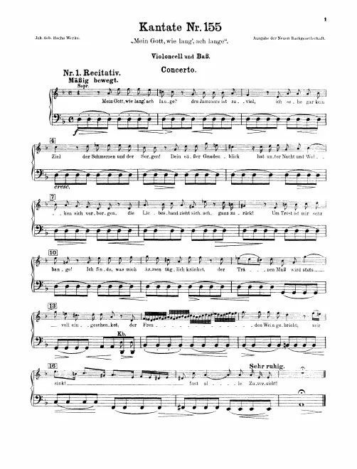 Cellos/Basses