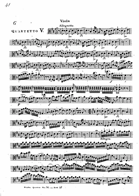 Viola