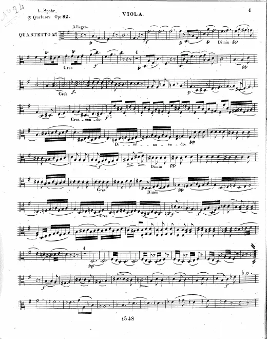 Viola