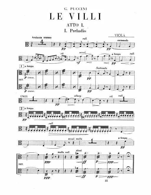 Violas