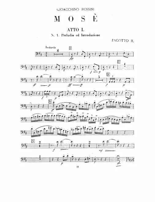Bassoon 2